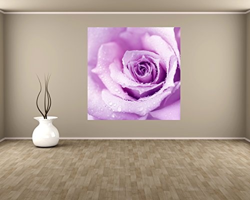 Fototapete selbstklebend Lila Rose mit Tropfen II - 100x100 cm - Wandtapete - Poster - Dekoration - Wandbild - Wandposter - Bild - Wandbilder - Wanddeko