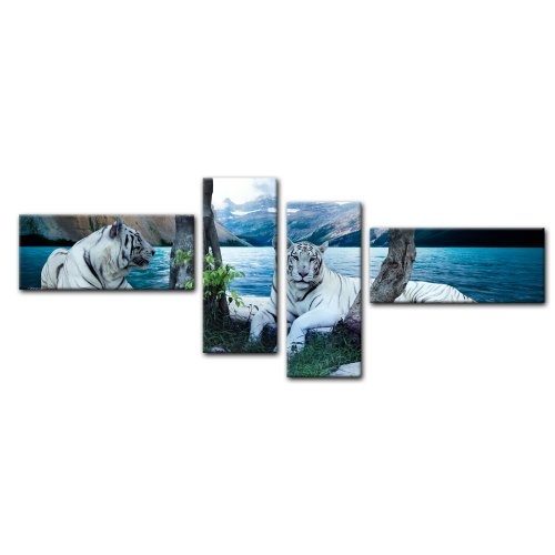 Wandbild - Tiger II - Bild auf Leinwand - 200x80 cm 4 teilig - Leinwandbilder - Bilder als Leinwanddruck - Tierwelten - Wildtiere - Grosskatzen - Zwei weiße Tiger
