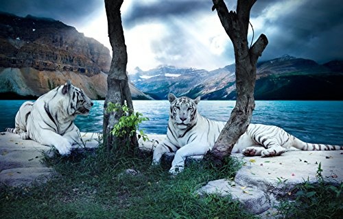 Bilderdepot24 Vlies Fototapete - Tiger II - 230x150 cm - mit Kleister - Poster - Foto auf Tapete - Wandbild - Wandtapete - Vliestapete