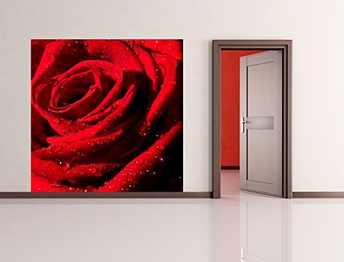 Bilderdepot24 Vlies Fototapete - Rote Rose mit Wassertropfen - 150x150 cm - mit Kleister - Poster - Foto auf Tapete - Wandbild - Wandtapete - Vliestapete