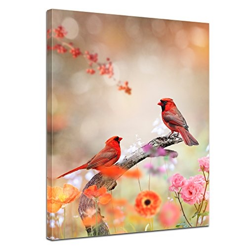 Wandbild Rotkardinal - 40x50 cm Bilder als Leinwanddruck Fotoleinwand Tierbild Vogel - Natur Zwei Vögel auf Einer Blumenwiese