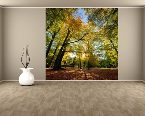 Fototapete selbstklebend Blätterfall im Herbst - 200x200 cm - Wandtapete - Poster - Dekoration - Wandbild - Wandposter - Bild - Wandbilder - Wanddeko