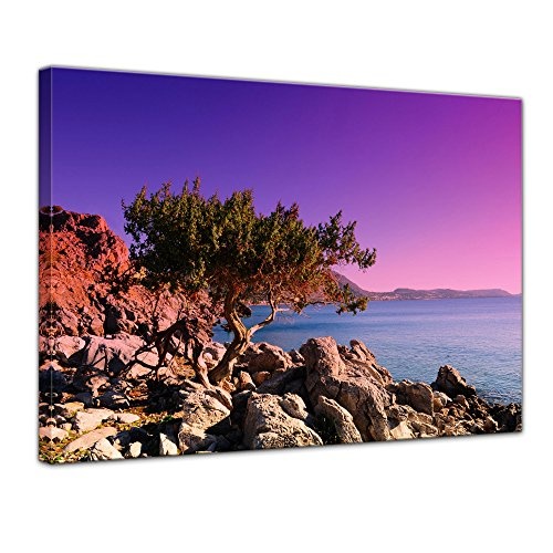 Wandbild - Mediterraner Baum auf Rhodos - Griechenland - Bild auf Leinwand auf 80 x 60 cm - Landschaften - Europa - violetter Sonnenuntergang über dem Mittelmeer