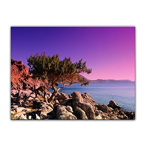 Wandbild - Mediterraner Baum auf Rhodos - Griechenland - Bild auf Leinwand auf 80 x 60 cm - Landschaften - Europa - violetter Sonnenuntergang über dem Mittelmeer