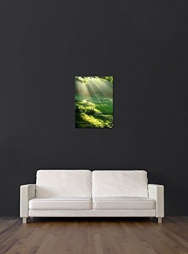 Wandbild - Wiese - Bild auf Leinwand - 40 x 50 cm - Leinwandbilder - Bilder als Leinwanddruck - Landschaften - Natur - Sonnenstrahlen auf Einer grünen Wiese