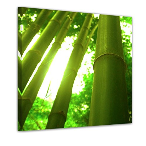 Wandbild - Set Pflanzen - Bild auf Leinwand - je 20x20cm - 4teilig - Leinwandbilder - Pflanzen & Blumen - Natur - Bambus - Gecko - Bananenblatt