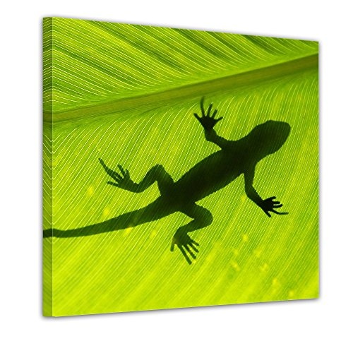 Wandbild - Set Pflanzen - Bild auf Leinwand - je 20x20cm - 4teilig - Leinwandbilder - Pflanzen & Blumen - Natur - Bambus - Gecko - Bananenblatt