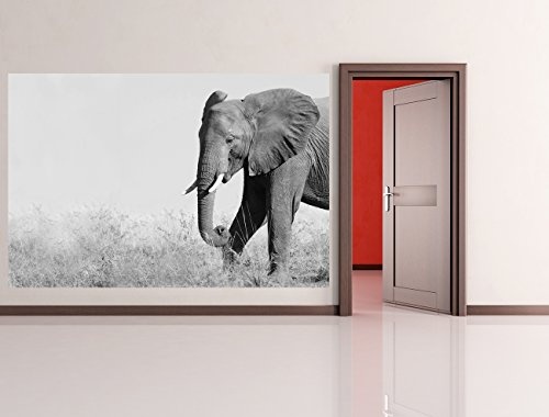 Bilderdepot24 Vlies Fototapete - Elefant II - schwarz Weiss - 150x100 cm - mit Kleister - Poster - Foto auf Tapete - Wandbild - Wandtapete - Vliestapete