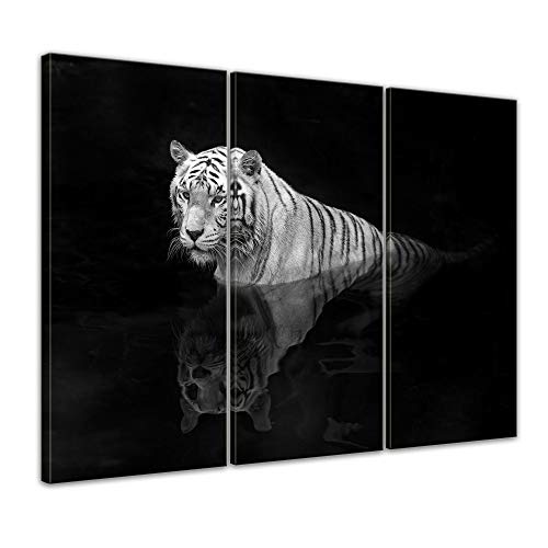 Wandbild - Tiger im Wasser - Bild auf Leinwand - 120 x 80 cm 3tlg - Leinwandbilder - Bilder als Leinwanddruck - Tierwelten - weißer Tiger auf schwarzem Hintergrund
