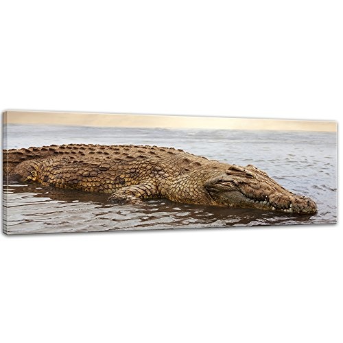 Keilrahmenbild Krokodil im Wasser - 120x40 cm Bilder als Leinwanddruck Fotoleinwand Tierbild Echse - Wildtier - riesiges Krokodil im Wasser