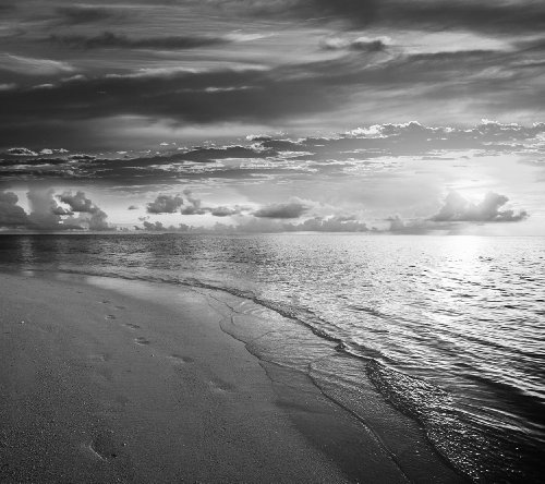 Bilderdepot24 Vlies Fototapete - Strand Sonnenuntergang II - schwarz Weiss - 270x240 cm - mit Kleister - Poster - Foto auf Tapete - Wandbild - Wandtapete - Vliestapete