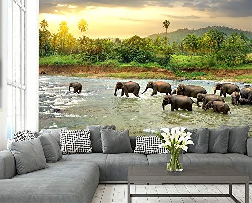 Fototapete selbstklebend Elefanten im Fluss - 230x150 cm - Wandtapete - Poster - Dekoration - Wandbild - Wandposter - Bild - Wandbilder - Wanddeko