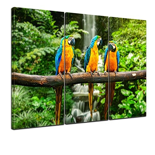 Wandbild - Blau-Gelber Papagei - Bild auf Leinwand - 120x80 cm 3tlg - Leinwandbilder - Tierwelten - Südamerika - Ara - Gelbbrustara - tropisch