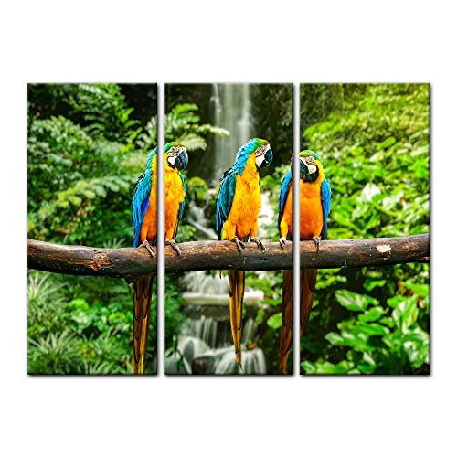 Wandbild - Blau-Gelber Papagei - Bild auf Leinwand - 120x80 cm 3tlg - Leinwandbilder - Tierwelten - Südamerika - Ara - Gelbbrustara - tropisch