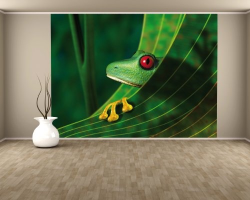 Bilderdepot24 Fototapete selbstklebend Frosch im Blatt - 360x270 cm - Wandposter Tapete Motivtapete - Tier Tierbild Natur Amphibie Lurch Kröte