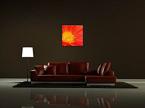 Wandbild - Orangene Gerbera - Bild auf Leinwand - 40x40 cm einteilig - Leinwandbilder - Pflanzen & Blumen - Nahaufnahme - Margeritenblüte mit Regentropfen