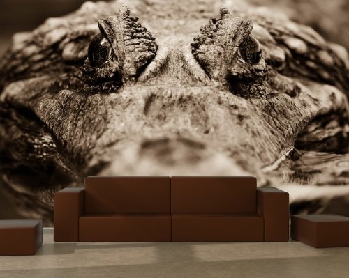 Bilderdepot24 Fototapete selbstklebend Krokodil - sephia 360x230 cm - Designtapete Wallpaper Print - Nahaufnahme Tierwelt Wasser Sumpf Reptil