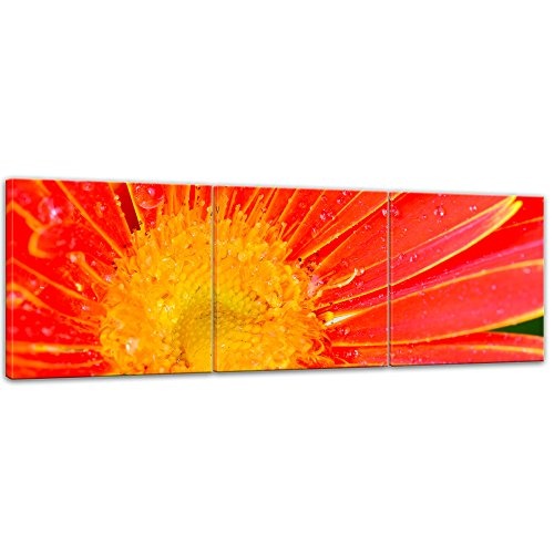 Wandbild - Orangene Gerbera - Bild auf Leinwand - 180x60 cm dreiteilig - Leinwandbilder - Pflanzen & Blumen - Nahaufnahme - Margeritenblüte mit Regentropfen