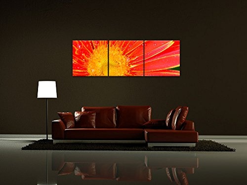 Wandbild - Orangene Gerbera - Bild auf Leinwand - 180x60 cm dreiteilig - Leinwandbilder - Pflanzen & Blumen - Nahaufnahme - Margeritenblüte mit Regentropfen