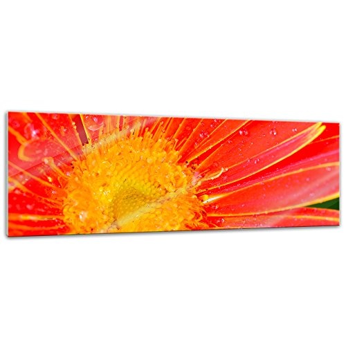 Glasbild orangefarbige Gerbera 120x40 cm - Deko Glas - Wandbild aus Glas - Bild auf Glas - Moderne Glasbilder - Glasfoto - Echtglas - kein Acryl - Handmade