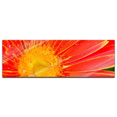 Glasbild orangefarbige Gerbera 120x40 cm - Deko Glas - Wandbild aus Glas - Bild auf Glas - Moderne Glasbilder - Glasfoto - Echtglas - kein Acryl - Handmade