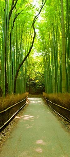 Bilderdepot24 Türtapete selbstklebend Bambuswald - Japan 90 x 200 cm - einteilig Türaufkleber Türfolie Türposter - Asien Bambus Pflanze Natur Gewächs Landschaft