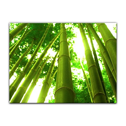 Wandbild - Bambus in Thailand - Bild auf Leinwand - 50 x...