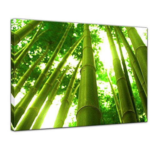 Wandbild - Bambus in Thailand - Bild auf Leinwand - 50 x 40 cm - Leinwandbilder - Bilder als Leinwanddruck - Pflanzen & Blumen - Sonnenlicht zwischen Bambusstämmen