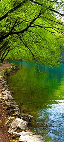 Bilderdepot24 Türtapete selbstklebend Flußufer 90 x 200 cm - einteilig Türaufkleber Türfolie Türposter - Landschaft Natur Fluss Wasser Gewässer Baum Idyllisch Bach Wald