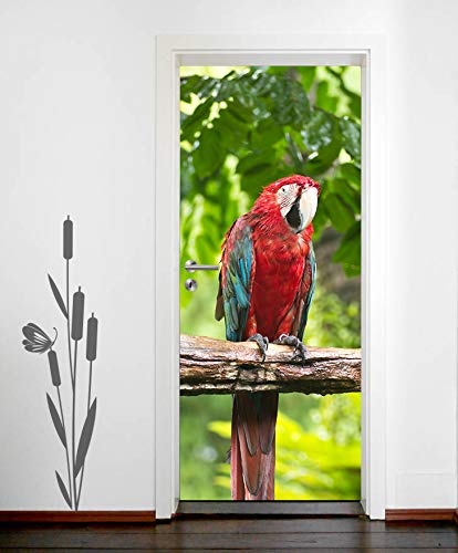 Bilderdepot24 Türtapete selbstklebend Macaw Papagei 90 x 200 cm - einteilig Türaufkleber Türfolie Türposter - Tier Vogel Ara Südamerika Gefieder bunt farbenfroh Natur