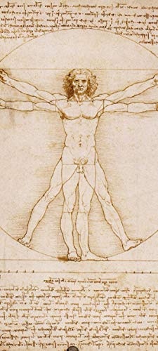 Bilderdepot24 Türtapete selbstklebend - Leonardo da Vinci - Vitruvianischer Mensch 90 x 200 cm - einteilig Türaufkleber Türfolie Türposter - Maler Alte Meister Kunstwerk Louvre Renaissance Italien