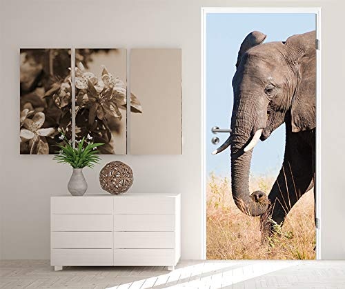 Bilderdepot24 Türtapete selbstklebend Elefant II 90 x 200 cm - einteilig Türaufkleber Türfolie Türposter - Tier Afrika Stoßzahn Rüssel Elefantenbulle Portrait Tierbild