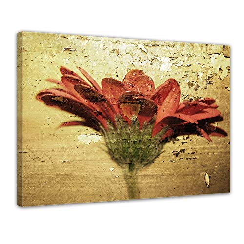 Wandbild - Grunge Blume - Bild auf Leinwand - 70x50 cm einteilig - Leinwandbilder - Urban & Graphic - rote Blüte