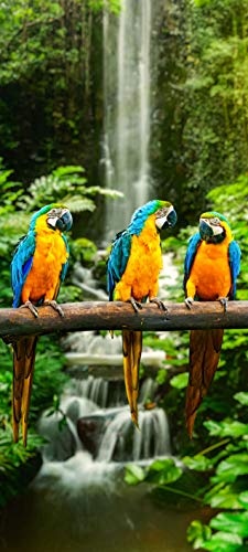 Bilderdepot24 Türtapete selbstklebend Blau-Gelber Macaw Papagei 90 x 200 cm - einteilig Türaufkleber Türfolie Türposter - Tier Vogel Ara Südamerika bunt farbenfroh Natur