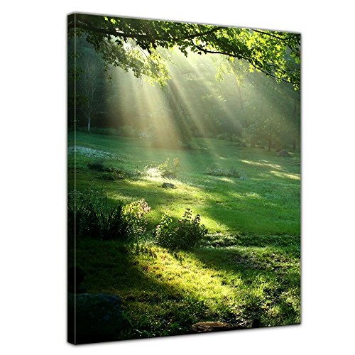 Wandbild - Wiese - Bild auf Leinwand - 60x80 cm 1 teilig - Leinwandbilder - Bilder als Leinwanddruck - Landschaften - Natur - Sonnenstrahlen auf Einer grünen Wiese