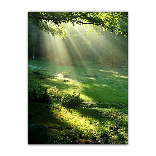 Wandbild - Wiese - Bild auf Leinwand - 60x80 cm 1 teilig - Leinwandbilder - Bilder als Leinwanddruck - Landschaften - Natur - Sonnenstrahlen auf Einer grünen Wiese