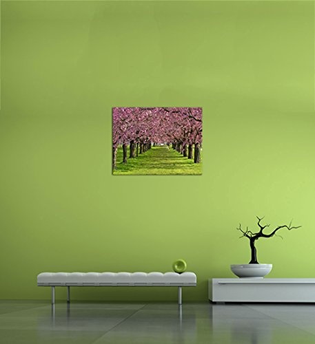 Wandbild - Kirschblüten - Bild auf Leinwand - 80x60 cm 1 teilig - Leinwandbilder - Bilder als Leinwanddruck - Pflanzen & Blumen - Natur - Kirschbäume in voller Blüte
