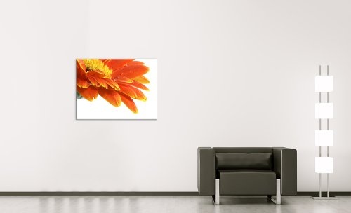 Wandbild - Gerbera mit Wassertropfen - Bild auf Leinwand - 80x60 cm 1 teilig - Leinwandbilder - Bilder als Leinwanddruck - Pflanzen & Blumen - Blüten mit Wasserperlen