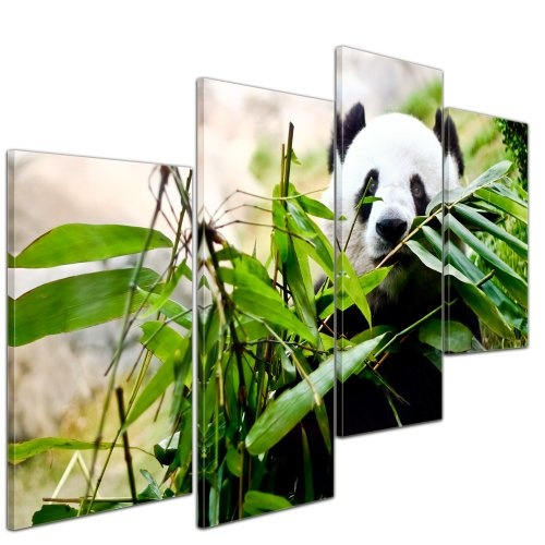 Bilderdepot24 Leinwandbild Pandabaer - 120x80 cm 4 teilig - fertig gerahmt, direkt vom Hersteller