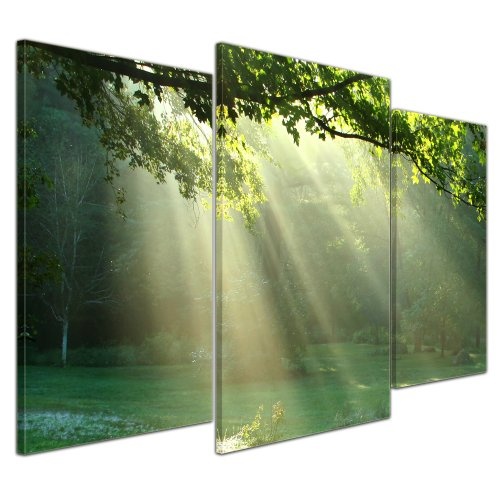 Wandbild - Wiese - Bild auf Leinwand - 100x60 cm 3 teilig - Leinwandbilder - Bilder als Leinwanddruck - Landschaften - Natur - Sonnenstrahlen auf Einer grünen Wiese