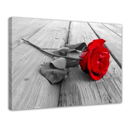 Wandbild - Rose Steg - Bild auf Leinwand - 70x50 cm 1 teilig - Leinwandbilder - Geist & Seele - Pflanzen - Blumen - rote Rose - Symbol