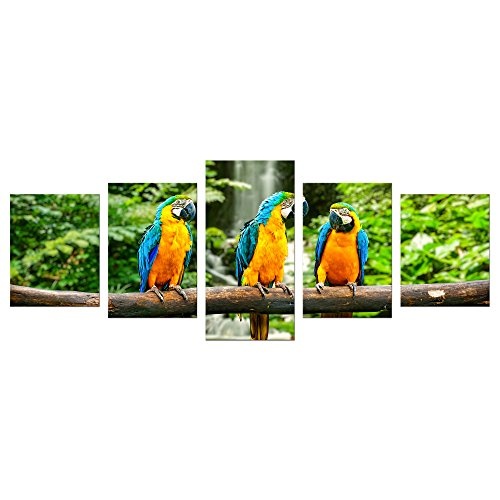 Wandbild - Blau-Gelber Papagei - Bild auf Leinwand - 200x80 cm 5 teilig - Leinwandbilder - Tierwelten - Südamerika - Ara - Gelbbrustara - tropisch