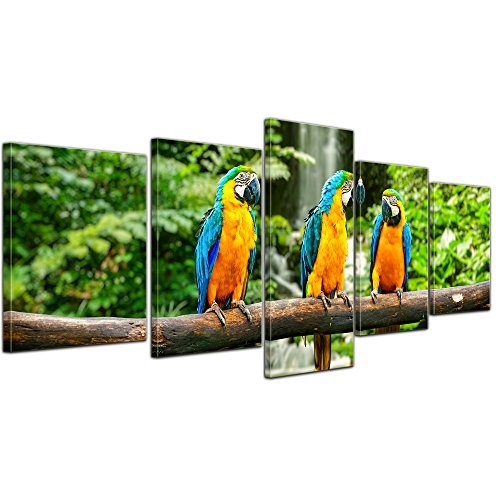 Wandbild - Blau-Gelber Papagei - Bild auf Leinwand - 200x80 cm 5 teilig - Leinwandbilder - Tierwelten - Südamerika - Ara - Gelbbrustara - tropisch