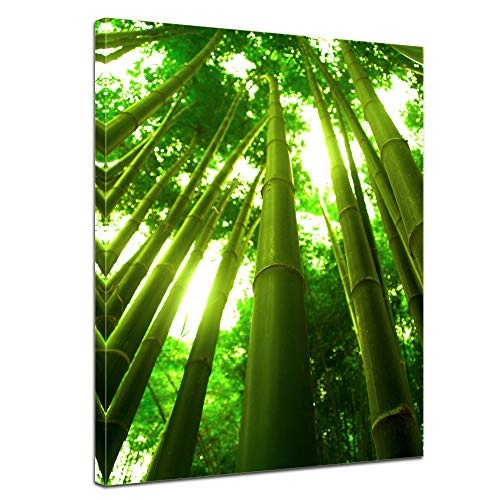 Wandbild - Bambus in Thailand - Bild auf Leinwand - 60x80 cm 1 teilig - Leinwandbilder - Bilder als Leinwanddruck - Pflanzen & Blumen - Sonnenlicht zwischen Bambusstämmen