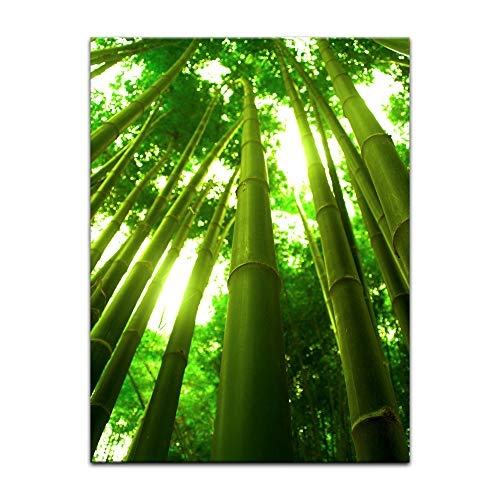 Wandbild - Bambus in Thailand - Bild auf Leinwand - 60x80...