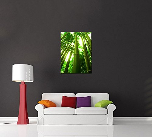 Wandbild - Bambus in Thailand - Bild auf Leinwand - 60x80 cm 1 teilig - Leinwandbilder - Bilder als Leinwanddruck - Pflanzen & Blumen - Sonnenlicht zwischen Bambusstämmen