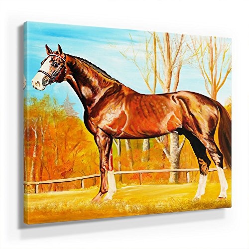 Mia Morro Pferde Bild A480, 1 Teil 80x80cm Leinwand auf Holzrahmen aufgespannt, FineArt Print, UV-stabil und wasserfest, Kunstdruck für Büro oder Wohnzimmer, Deko Bild