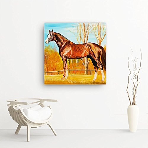 Mia Morro Pferde Bild A480, 1 Teil 80x80cm Leinwand auf Holzrahmen aufgespannt, FineArt Print, UV-stabil und wasserfest, Kunstdruck für Büro oder Wohnzimmer, Deko Bild
