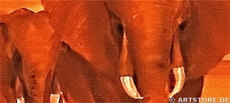 Mia Morro - AFRICAN ELEPHANTS - BILD 110x50cm XXL BILD - KUNST, Leinwand auf Echtholzrahmen aufgespannt, UV-stabil und wasserfest, modernes XXL Deko Bild FineArtPrint Wandbild