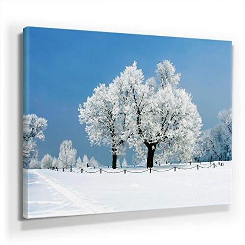 Winter Bild B190, 1 Teil 90x60cm Leinwand auf Holzrahmen aufgespannt, FineArt Print, UV-stabil und wasserfest, Kunstdruck für Büro oder Wohnzimmer, Deko Bild